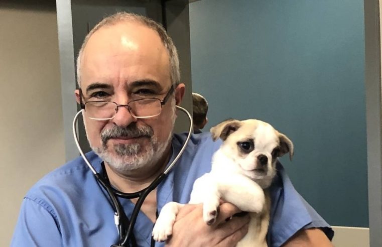 Cães e gatos não têm papel na transmissão da Covid-19, afirma veterinário brasileiro que atua nos EUA